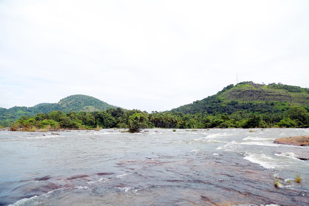Athirapilly River Resort Атирапалли Экстерьер фото